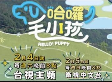 哈啰！毛小孩
